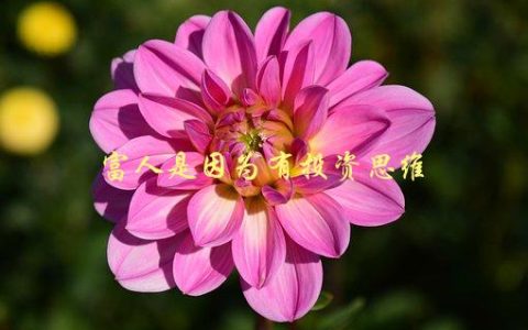 富人是因为有投资思维，如何培养自己的投资眼光