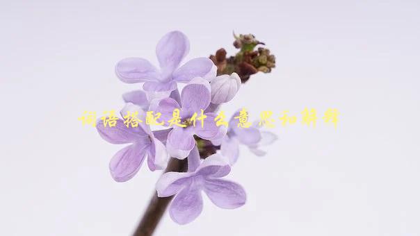 词语搭配是什么意思和解释，如何正确运用常用搭配-1