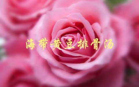 海带黄豆排骨汤(怎样煲才能营养丰富？)