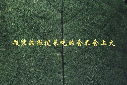 瓶装的橄榄菜，是否会引起身体不适-1