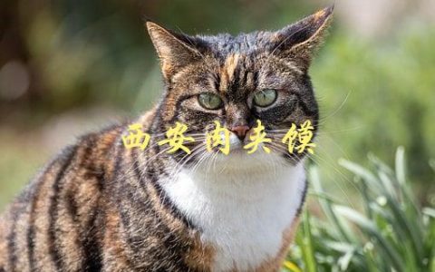 西安肉夹馍(如何制作正宗的美味佳肴)