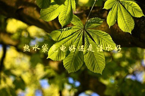 热水袋充电好还是注水好，哪种更安全有效-1