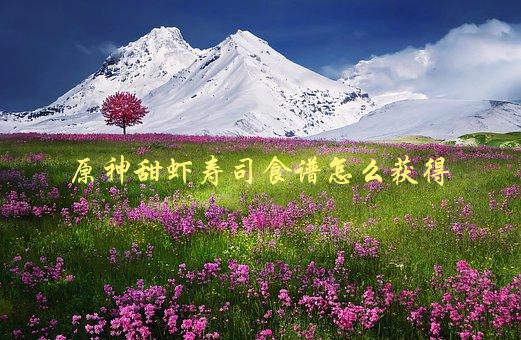原神甜虾寿司食谱怎么获得，详细解析-1