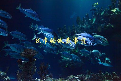 丝巾的佩戴事宜，如何选择合适的颜色和样式-1