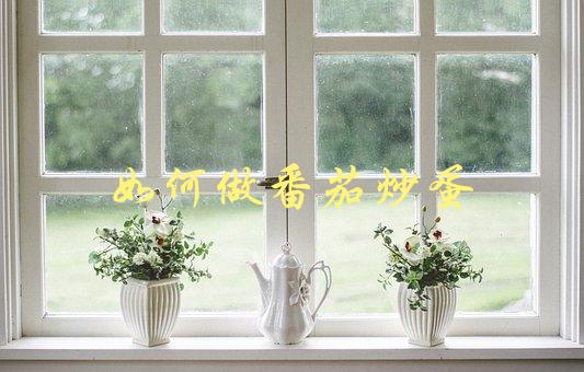 如何做番茄炒蛋(简单易学的做法)-1