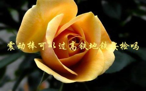 震动棒可以过高铁地铁安检吗，旅客需知