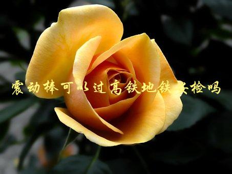震动棒可以过高铁地铁安检吗，旅客需知-1