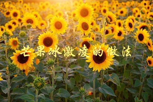 芒果冰激凌的做法(怎样制作美味可口的芒果冰激凌)-1