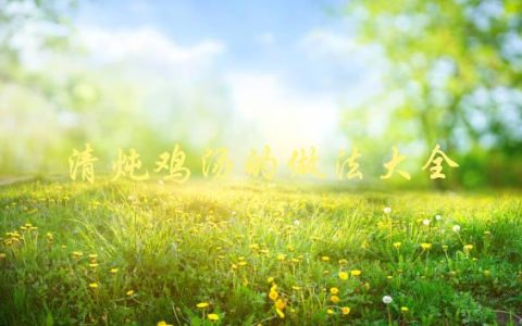 清炖鸡汤的做法大全(如何制作营养丰富的鸡汤)