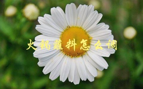 火锅蘸料怎么调(有哪些必备的调料和配方)