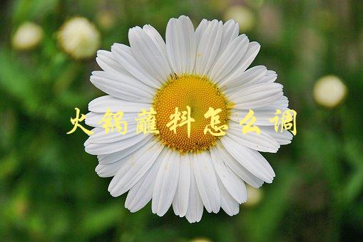 火锅蘸料怎么调(有哪些必备的调料和配方)-1