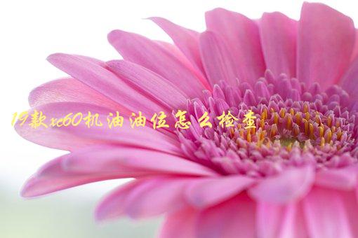 19款XC60机油油位怎么检查，简单易懂的方法分享-1