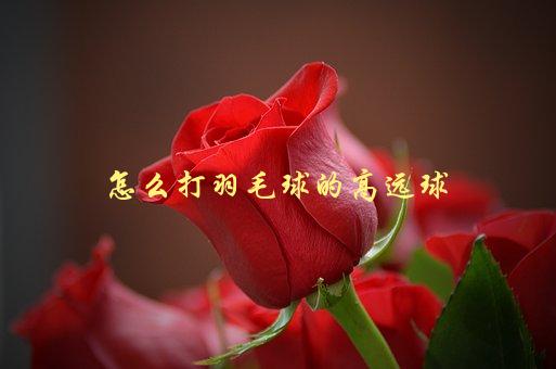 怎么打羽毛球的高远球，技巧与注意事项-1