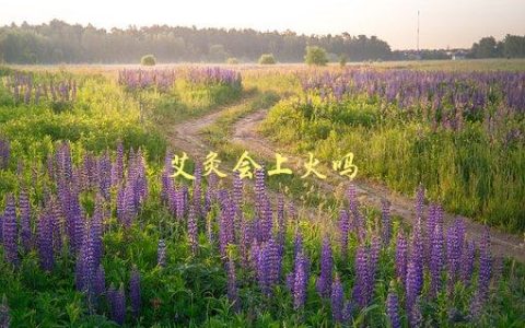 艾灸会上火吗，真相揭秘！