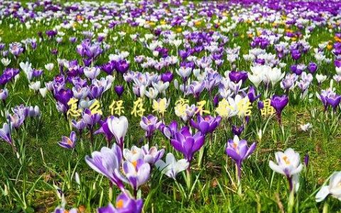 怎么保存蜂蜜不会结晶，有哪些小技巧可以尝试