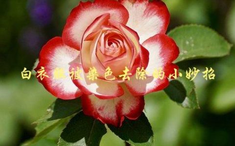 白衣服被染色去除的小妙招，有哪些简单易行的方法