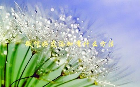 微信好友添加有什么方法，详细教程分享