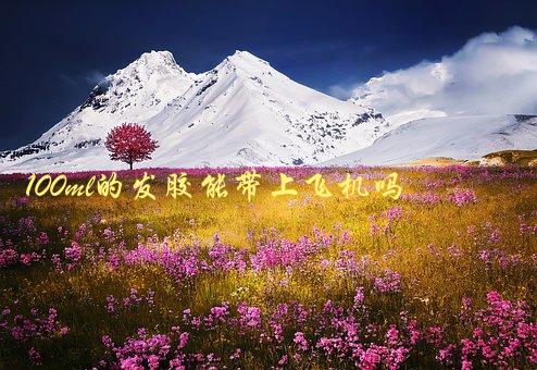 100ml的发胶能带上飞机吗，旅行必看如何正确携带发胶上飞机-1