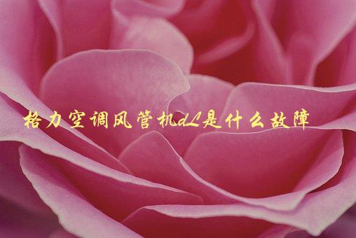 格力空调风管机dL是什么故障，如何判断并解决-1