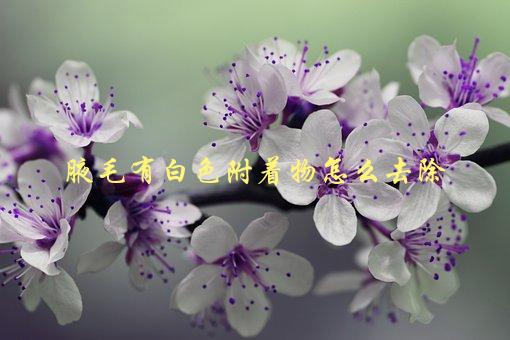 腋毛有白色附着物怎么去除，有哪些简单有效的方法-1