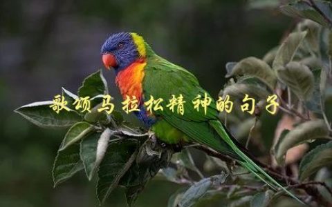 歌颂马拉松精神的句子，如何激发自己的长跑潜力
