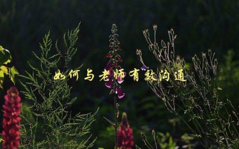 如何与老师有效沟通，5个实用技巧
