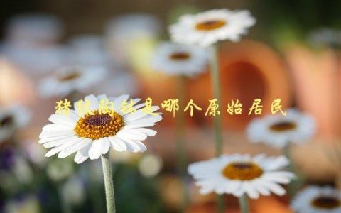 猪纹陶钵是哪个原始居民，古代文明中的猪养殖和陶器制作