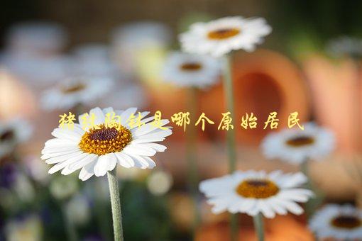 猪纹陶钵是哪个原始居民，古代文明中的猪养殖和陶器制作-1