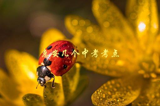 惠安几个中考考点，有哪些值得关注的重点-1