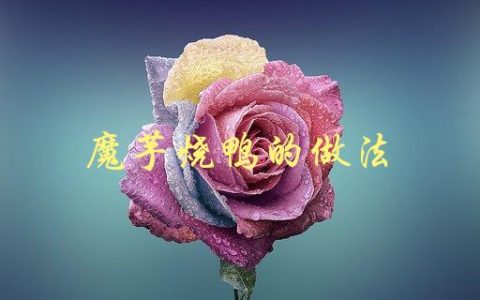 魔芋烧鸭的做法(怎样才能让鸭肉更加入味？)