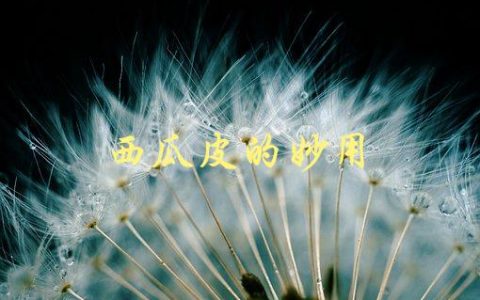 西瓜皮的妙用(有哪些意想不到的用途)