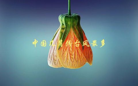中国几月份台风最多，哪些地区受影响最大