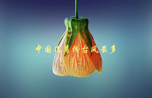 中国几月份台风最多，哪些地区受影响最大-1