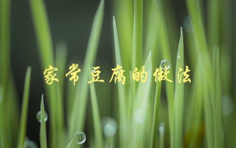 家常豆腐的做法(怎样才能做出口感细腻的豆腐？)