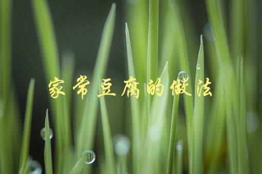 家常豆腐的做法(怎样才能做出口感细腻的豆腐？)-1