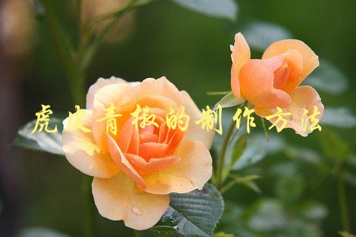 虎皮青椒的制作方法(怎样让口感更加鲜脆)-1