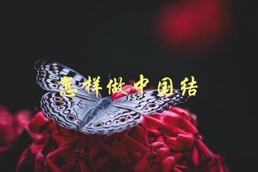 怎样做中国结(简单易学的教程)-1