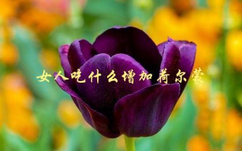 女人吃什么增加荷尔蒙，有哪些食物可以提高女性荷尔蒙水平