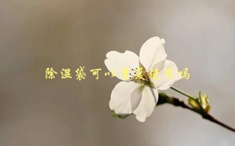 除湿袋可以重复使用吗，如何正确使用和清洗