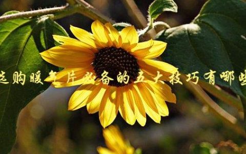 选购暖气片必备的五大技巧有哪些，如何避免选错款式和尺寸