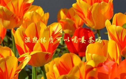 湿热体质可以喝姜茶吗，有哪些需要注意的事项