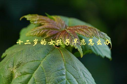 十二岁的女孩子早恋怎么办，家长应该如何正确引导-1