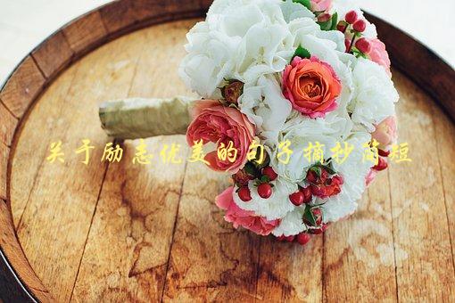 关于励志优美的句子摘抄简短，哪些句子能够激励你前行-1