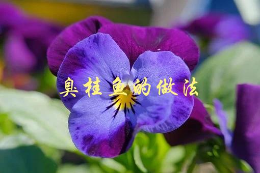 臭桂鱼的做法(怎样让口感更加美味)-1