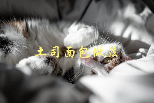 土司面包做法(如何在家轻松制作美味土司面包)-1