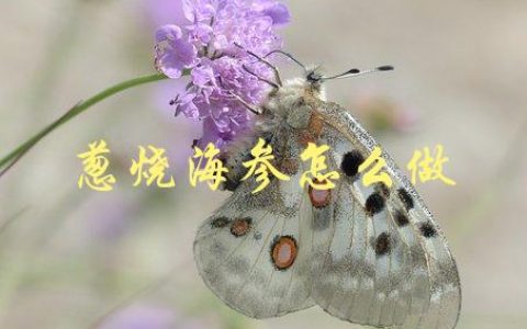 葱烧海参怎么做(家庭美食版)