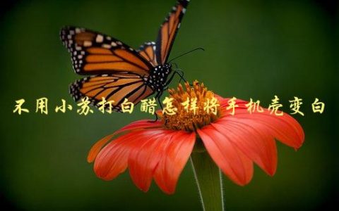 不用小苏打白醋怎样将手机壳变白，有哪些省时省力的方法