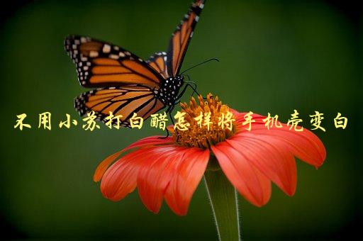 不用小苏打白醋怎样将手机壳变白，有哪些省时省力的方法-1