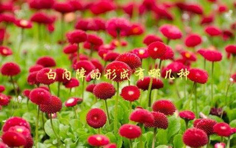 白内障的形成有哪几种，了解这些，预防白内障