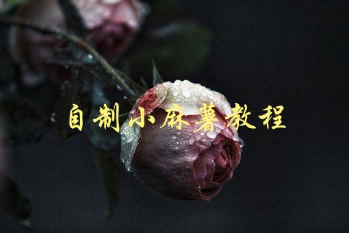 自制小麻薯教程(如何在家轻松制作美味小麻薯)-1
